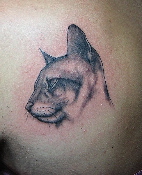 Фото, значение в магии татуировки " Кот. Кошка. Котенок. " - Страница 3 X_bf0f81da